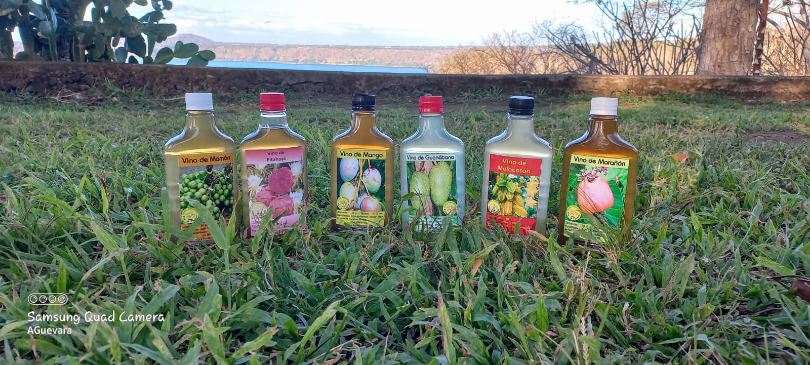 Imagen de la galería Productos