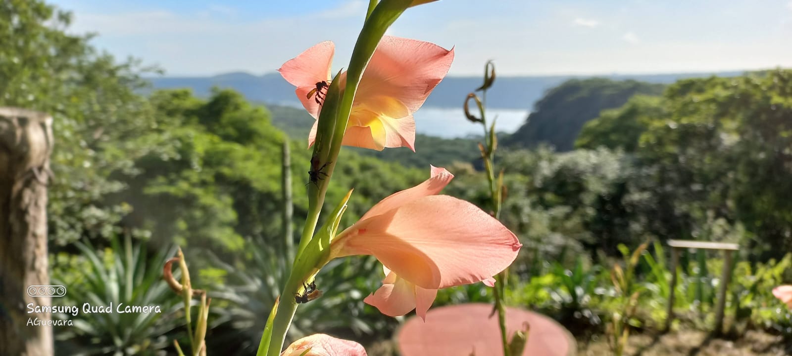 Imagen de la galería Naturaleza