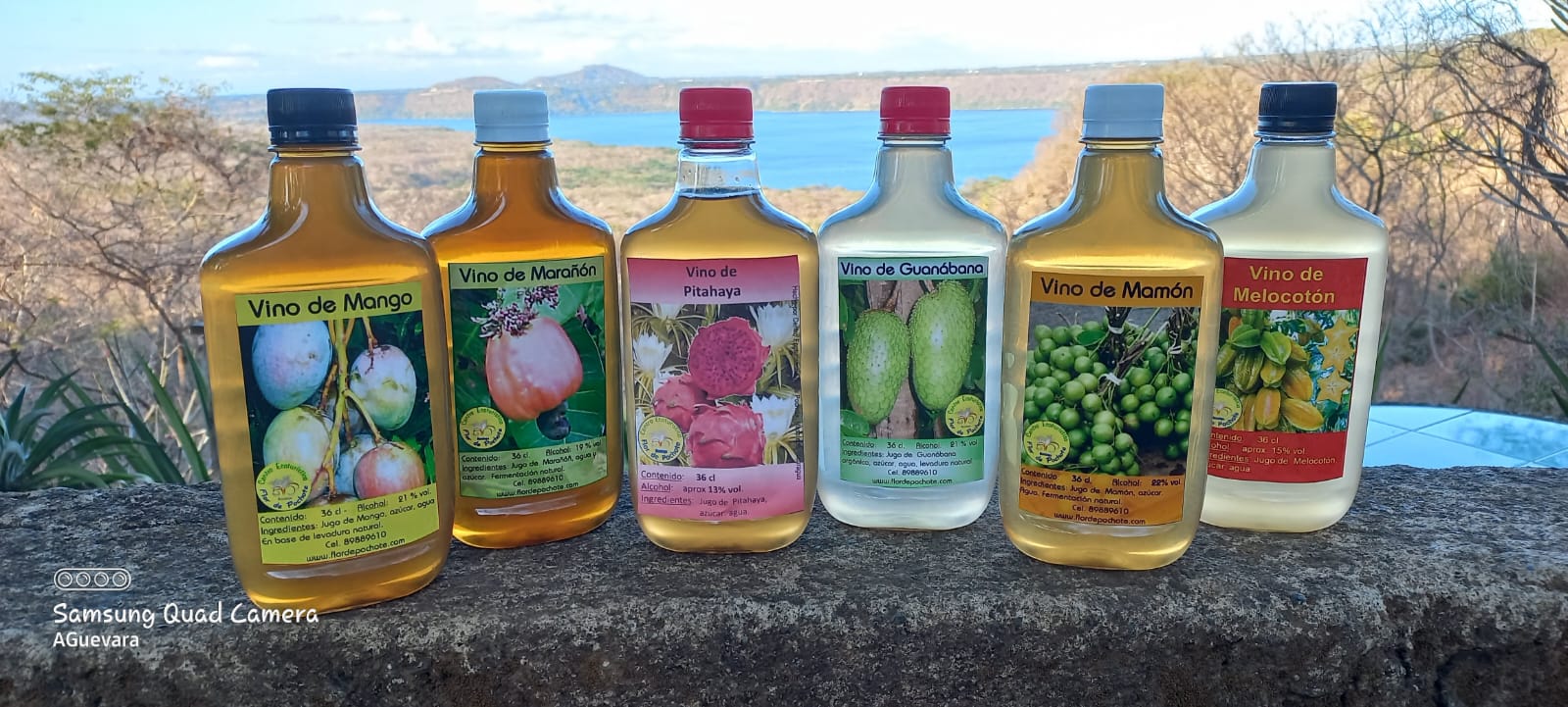 Imagen de la galería Productos