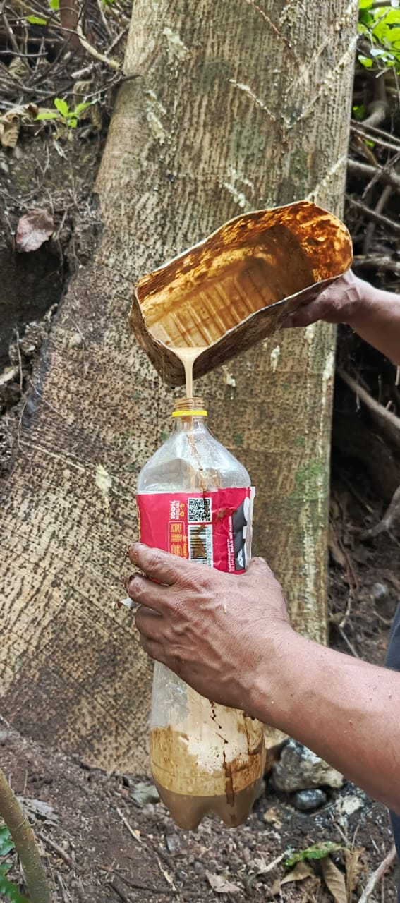 Imagen de la galería Hule
