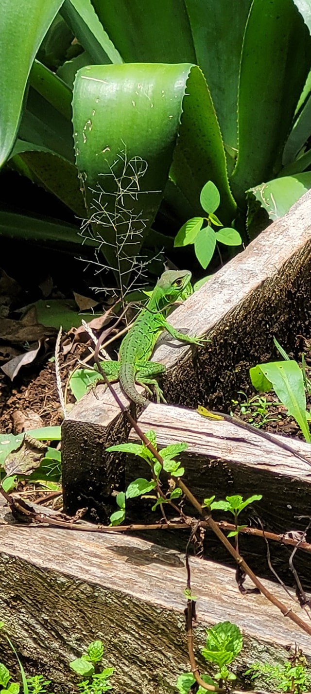 Imagen de la galería Naturaleza