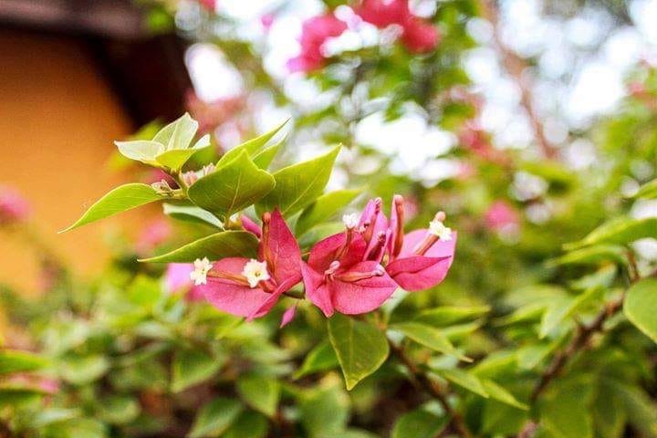 Imagen de la galería Naturaleza