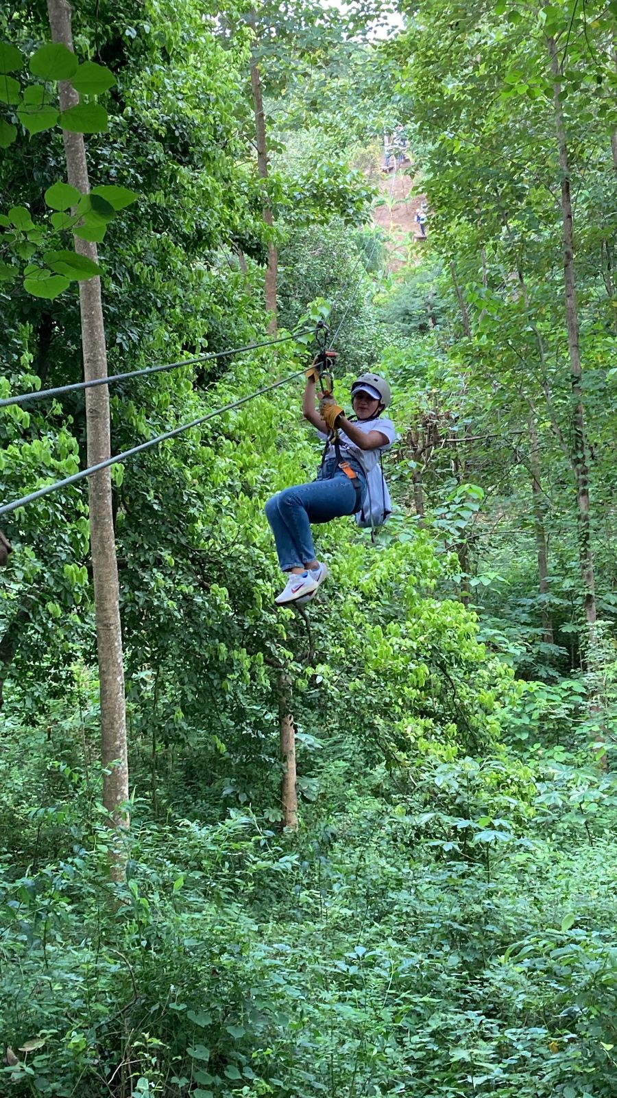 Canopy