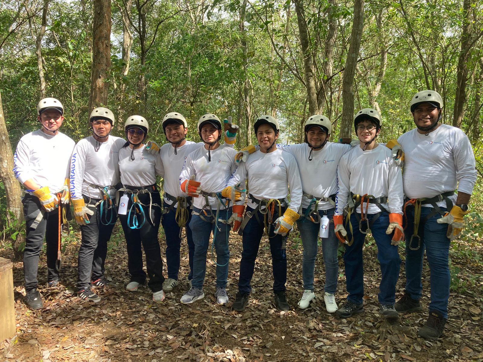 Imagen de la galería Canopy