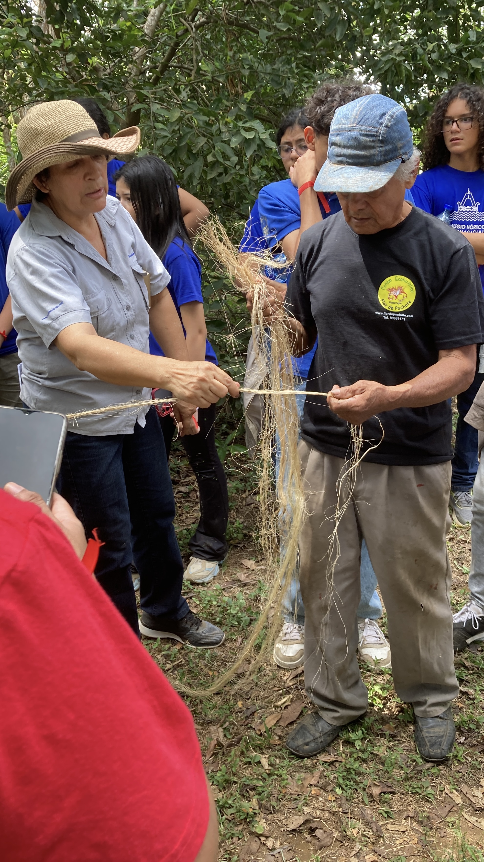 Imagen de la galería Mecate de cabuya