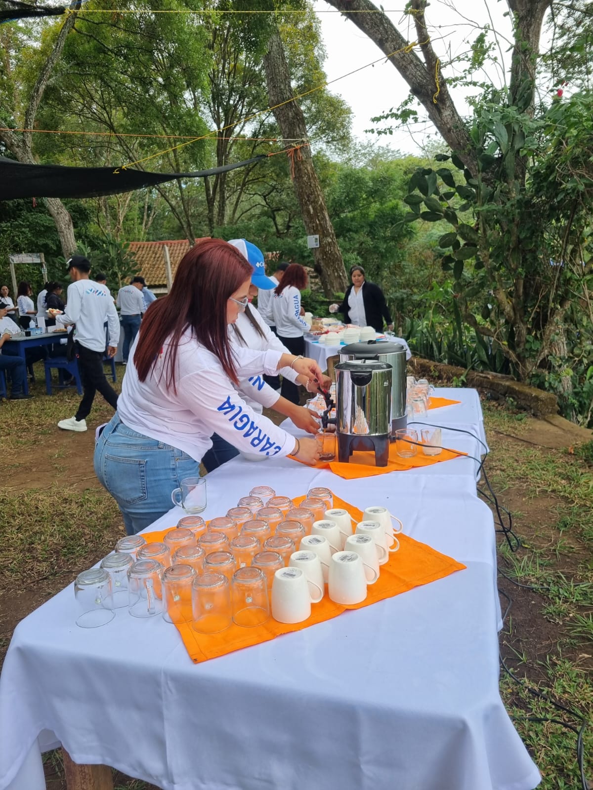 Imagen de la galería Gastronomía