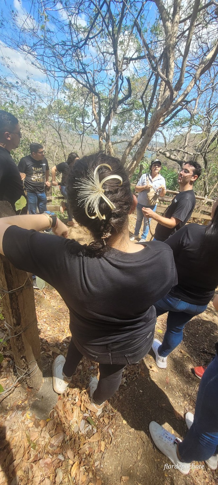Tours guiados: aprende explorando
